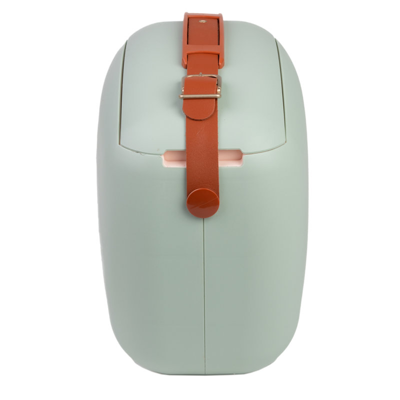 Polarbox 6qts Cooler Bag Summer, Mint