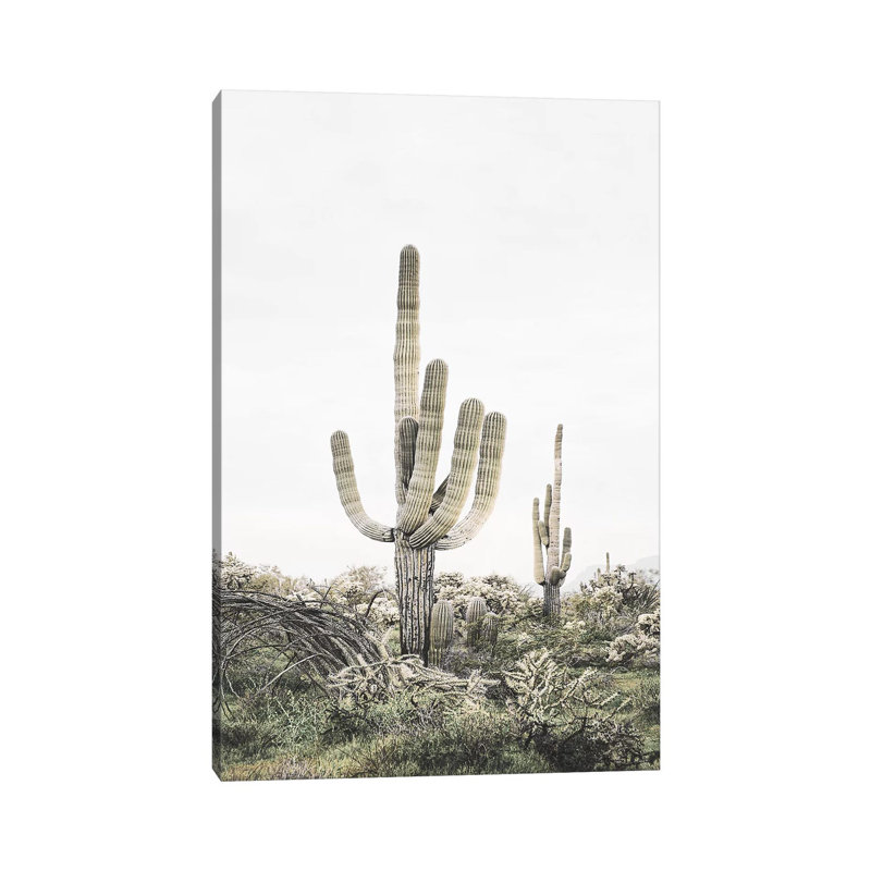 Blush Shy Cactus by Sisi & Seb - Wrapped Canvas Print, 30.48 cm H x 20.32 cm W x 1.91 cm D
