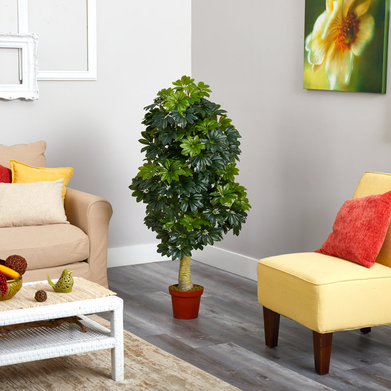 60'' Faux Schefflera Tree in Pot Liner