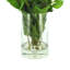 Bouvardia Florals Arranged In A Glass Vase