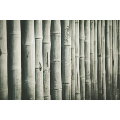 Bamboo Background by 35007 - Wrapped Canvas Print