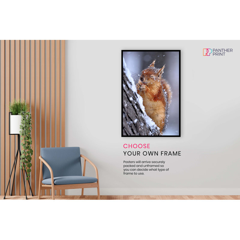 Chilly Cute Red Squirrel Wildlife - No Frame Print, 31cm H x 20cm W