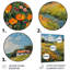 «Yellow Wildflower Summer Meadow Breeze II - Wildflowers», reproduction d'art murale-1460783404-1460783406