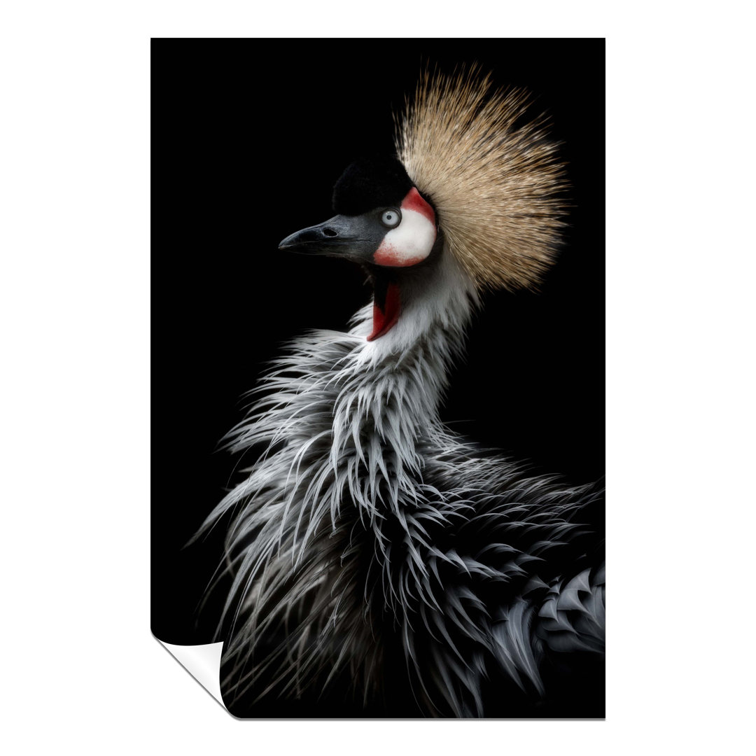 Panther Print Fine Art Prints Grey Crowned Crane's Portrait Artistic Unframed Poster, Pictures For Home Walls, Bedroom, Living Room & Bathroom Decor