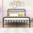Assunta Metal Platform Bed with Headboard-794205388