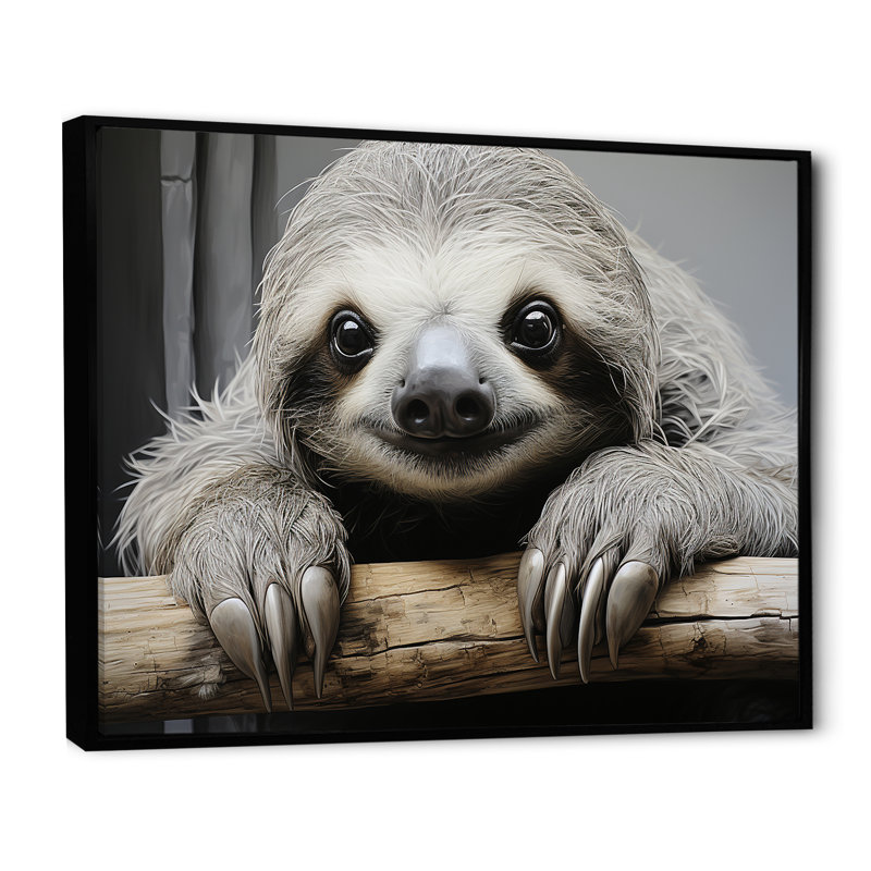 Paresseux doux - impressions sur toile, Cadre flottant noir, H 12 po x l 20 po x P 1 po