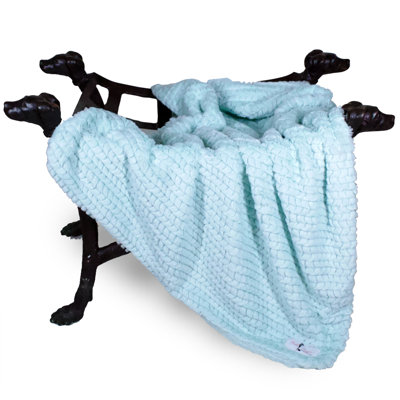 Couverture en polyester Paris Dog