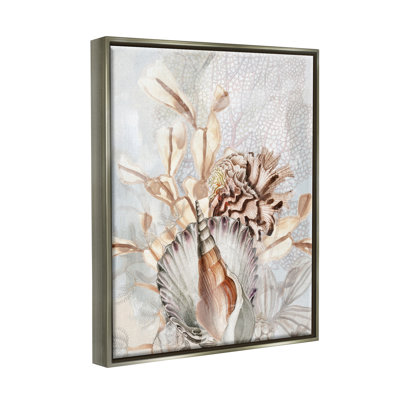 Divers vie marine beige