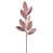 Or rose