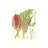 Tropical Variety VI by Curtis - Gallery-Wrapped Canvas Giclée on Canvas-691625283-691625286