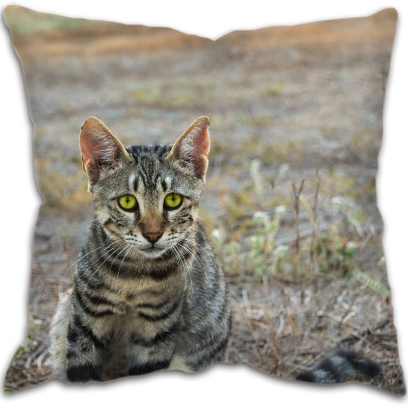 Crowland Square Cushion