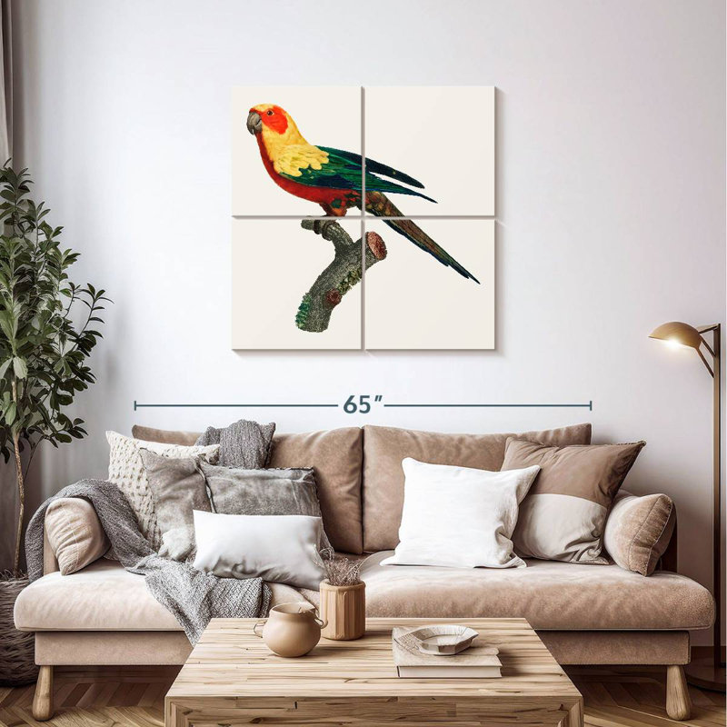 Brampt Sun Conure