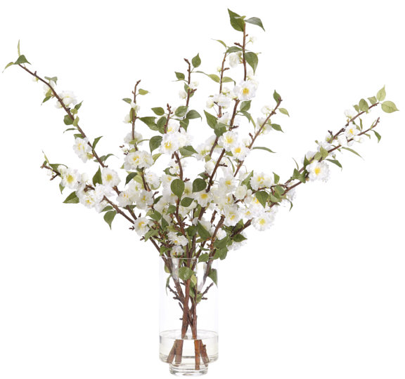 Japanese Cherry Blossom, White, Glass Vase, 35wx26dx34h