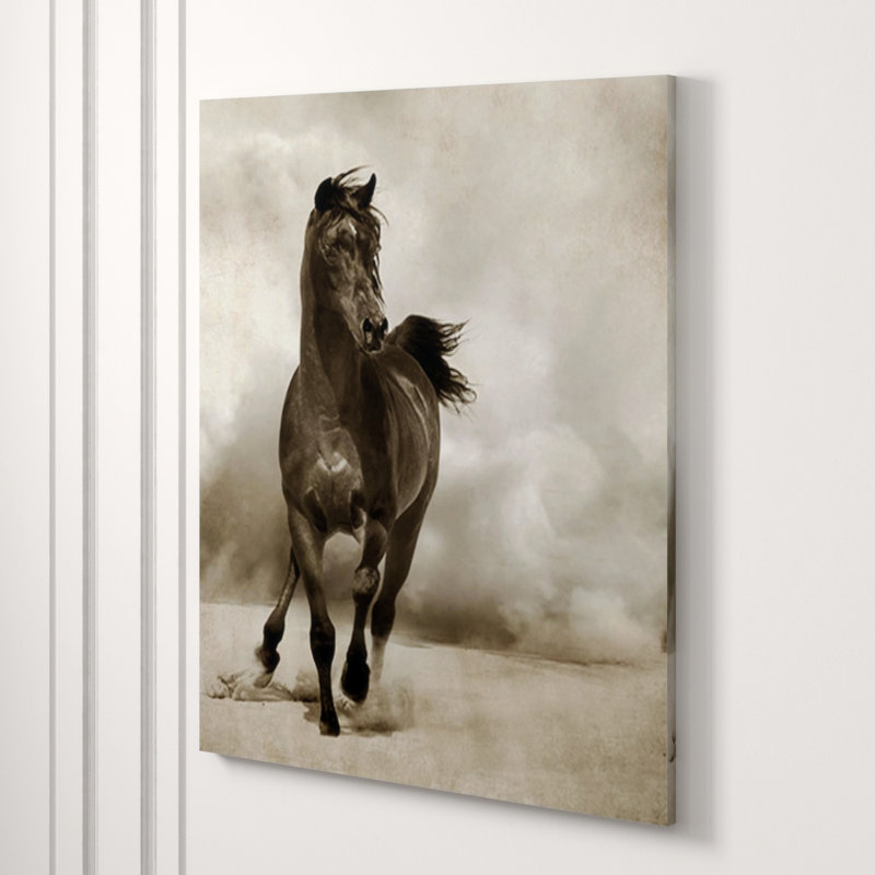 In Desert Storm Print by Sofia Fox, Plexi, 60" H x 48" W x 1.5" D