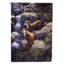 «Otters by the Waterfall» par Daphne Baxter Garden Flag-16654751