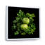 Fennel Herbs Fantasy 1 - Floral Herbs, art mural-872403636-872403637