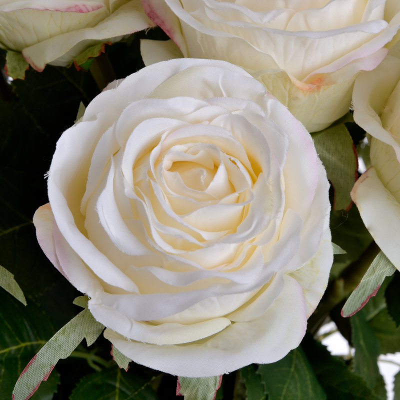 Arrangement