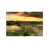 Wrapped Canvas is unavailable