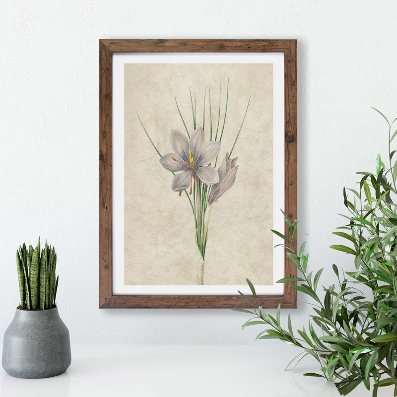 Autumn Crocus Flowers by Pierre-Joseph Redoute - Framed Print, 33cm H x 45cm W x 2cm D, Walnut Framed
