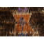 Tapis tribal marocain berbère 8 x 10