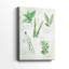 Fresh Herbs I -Gallery Wrapped Cavas-1376570848