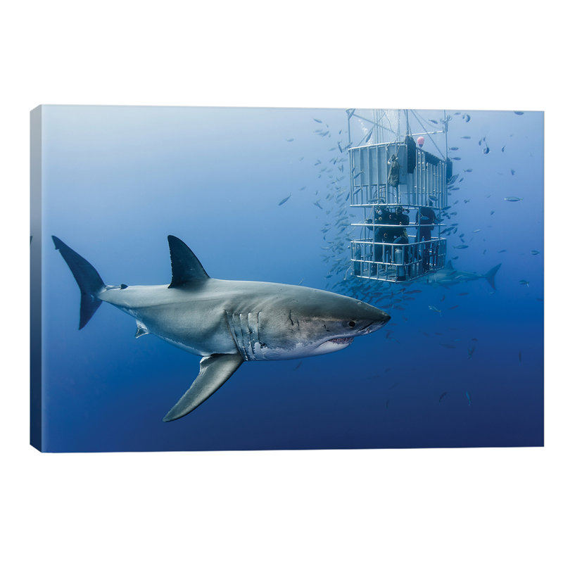 Animals In Cage by Davide Lopresti - Wrapped Canvas Print, 101.6 cm H x 66.04 cm W x 1.91 cm D