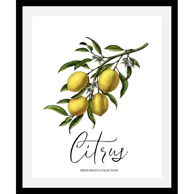 Citrus - Single Picture Frame Print, 70cm H x 50cm W