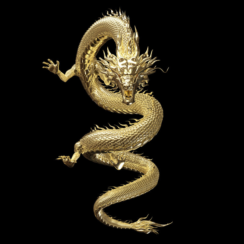 Gold Dragon - Wrapped Canvas Print, 76cm H x 76cm W x 3.8cm D