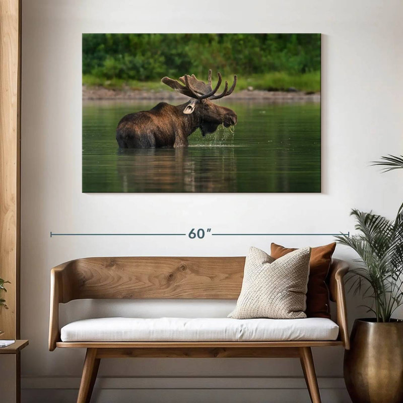Fishercap Lake Moose, 32" H x 48" W