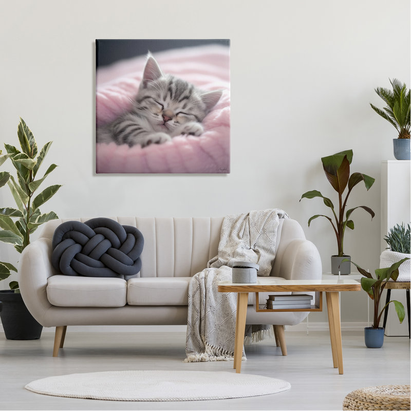 " Soft Kitten Tucked In " by Roozbeh, 30" H x 30" W x 1.5" D