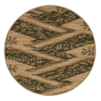 Machine Washable Nature Brown Area Rug