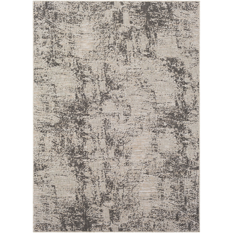Tapis intérieur / extérieur noir / gris Mordecai, Rectangle 5 pi 3 po x 7 pi 3 po