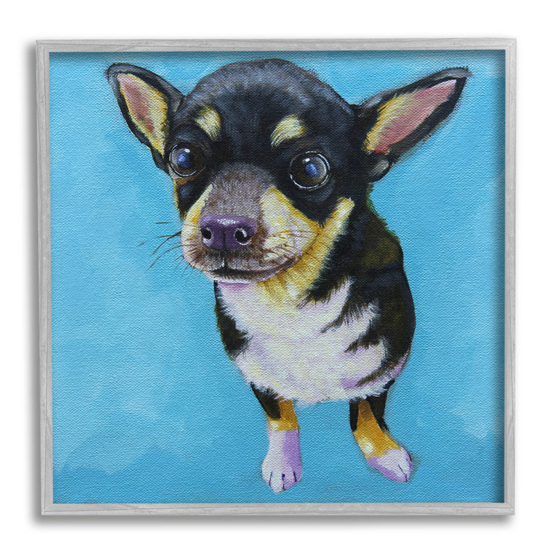 «Blue Vivid Chihuahua», estampe numérique par Lucia Stewart, H 17 po x l 17 po x P 1,5 po, Estampe numérique Farmhouse