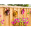 Jeu de jardin fleur Dexter