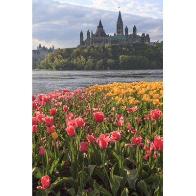 Ottawa Tulip Festival - Wrapped Canvas Print