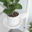 Keeve Plant Stand