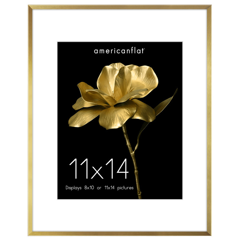Aluminum Picture Frame with Mat