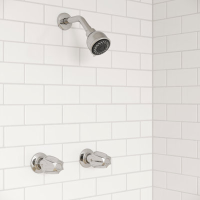 Function Tub and Shower Faucet