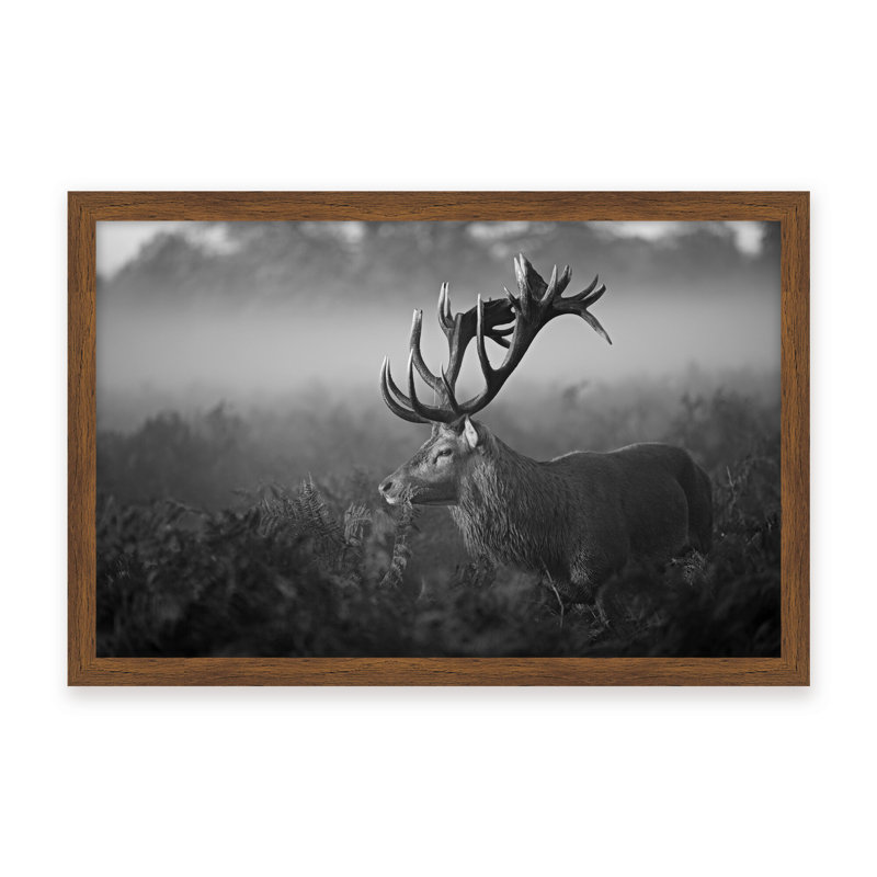 Nature Inspired Sunny Morning by  - Picture Frame Photograph on Paper, 24" H x 36" W x 1.125" D, Framed Print, Beige
