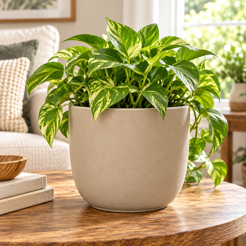 Pot rond taupe