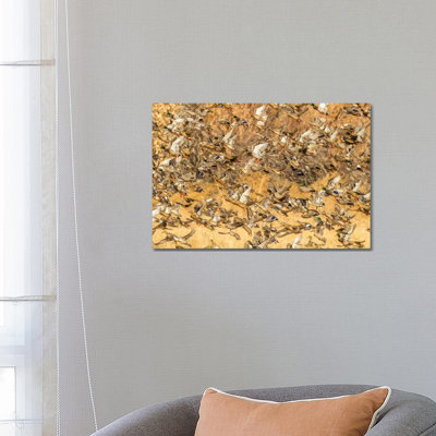 USA, New Mexico, Bosque Del Apache National Wildlife Refuge. Mallard Duck Flock Flying. by Jaynes Gallery - Wrapped Canvas Print