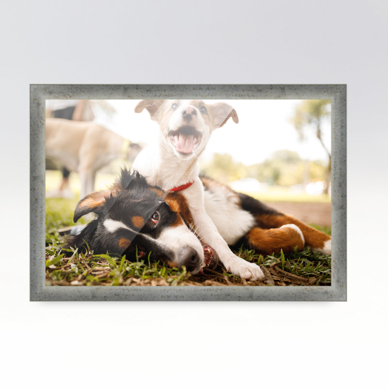 Cadre photo Emsal, L 10 po x H 9 po, Argent