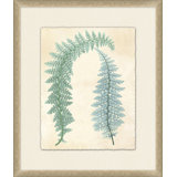 Spring Ferns 3 Painting