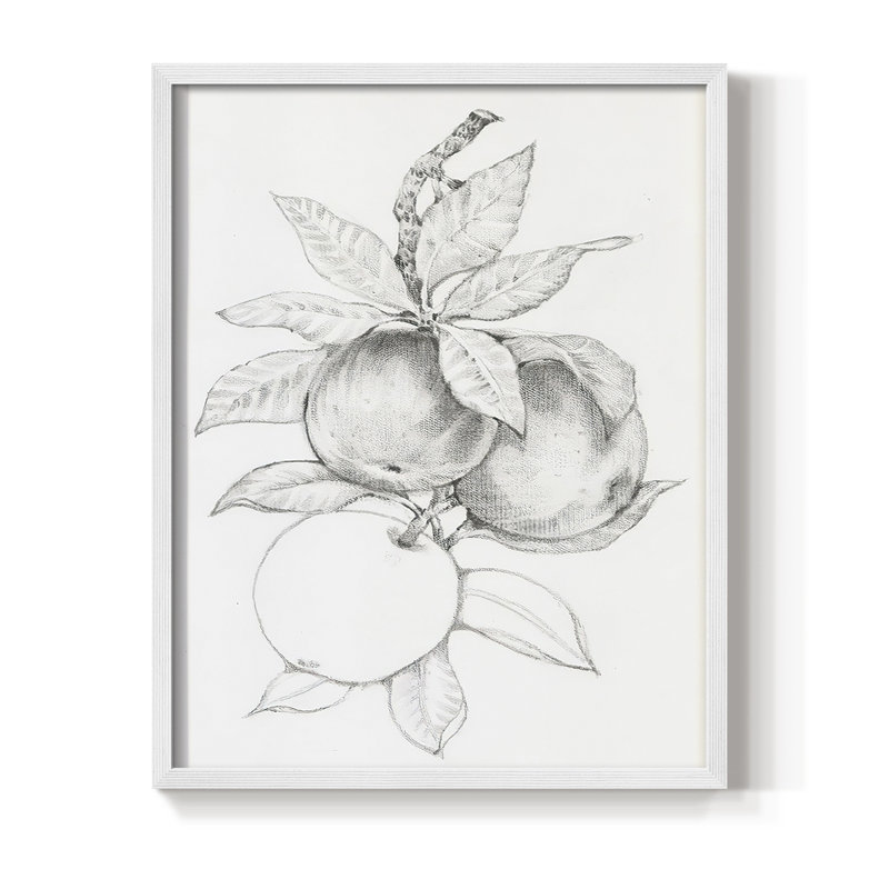 Impression encadrée FruitBearing Branch II - bois massif, Blanc, H 14 po x l 11 po