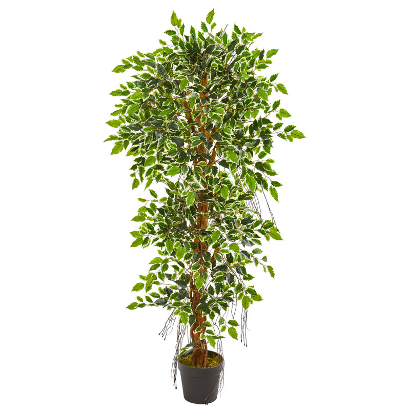 60'' Faux Ficus Tree in Pot