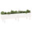Meenakshi Wood Raised Garden Bed-1774958771-1774958731-1774958734