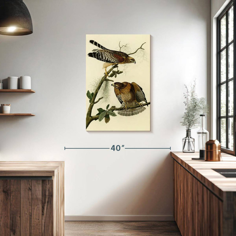 Ronce à faucon à épines d'oiseaux d'Amérique, H 36 po x l 24 po
