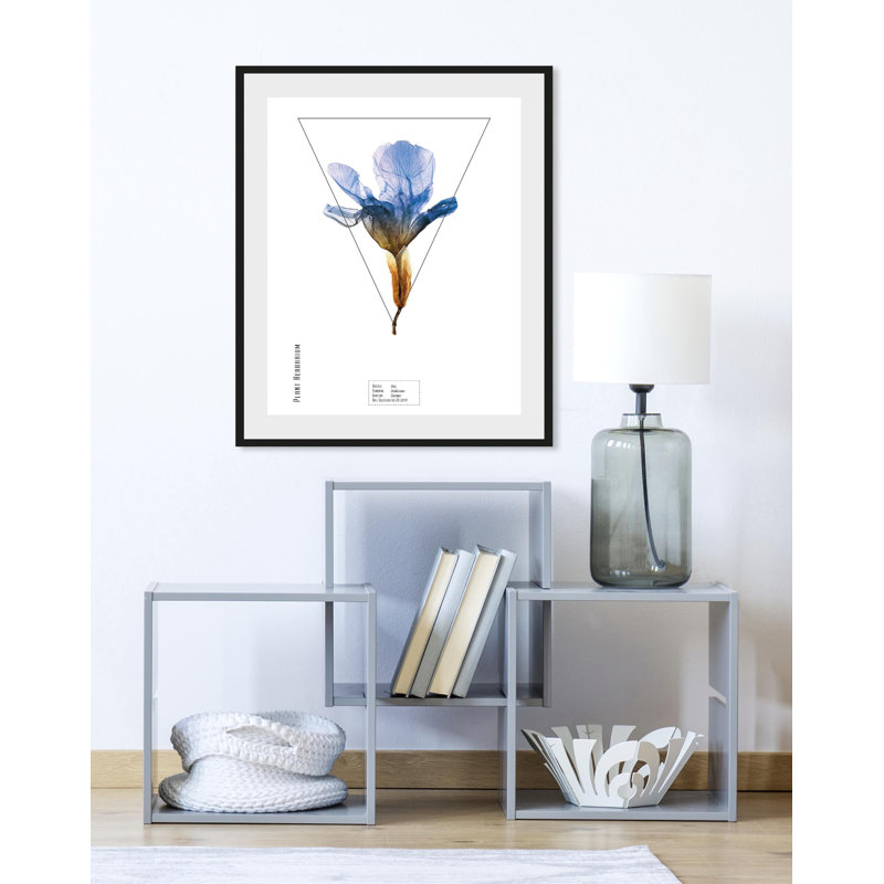 Plant - Single Picture Frame Print, 50 cm H x 40 cm W
