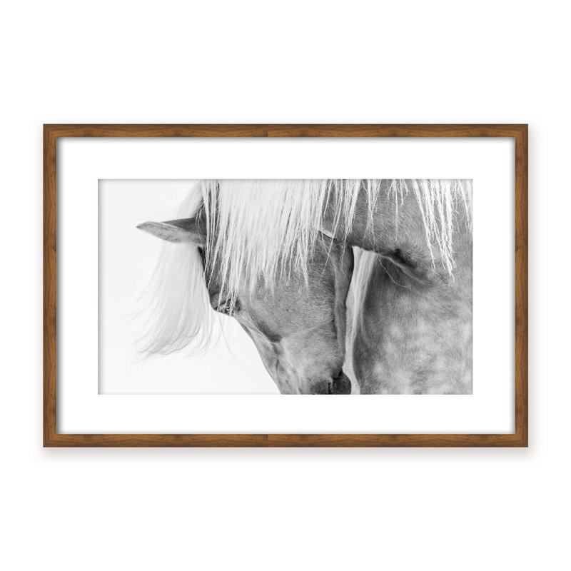 Nature Inspired Halflinger Portrait by  - Picture Frame Photograph on Paper, 24" H x 36" W x 1.125" D, Framed Matted Print