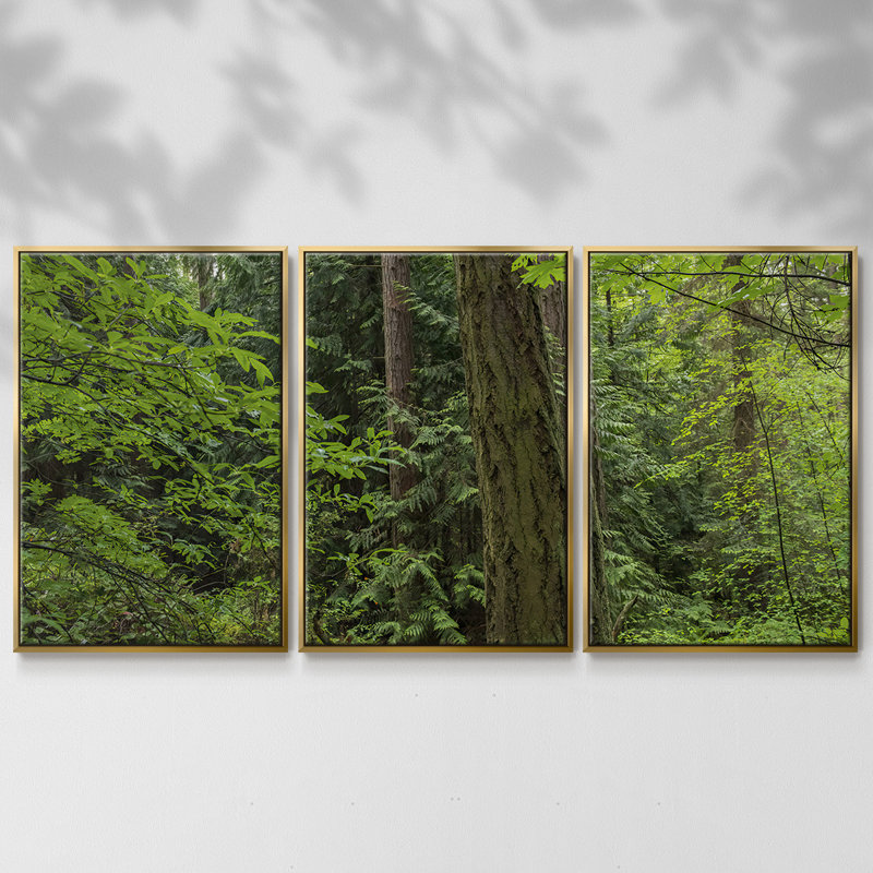 Calme de la forêt, peinture sur toile 3 pièces, Encadrement doré, H 24 po x l 48 po